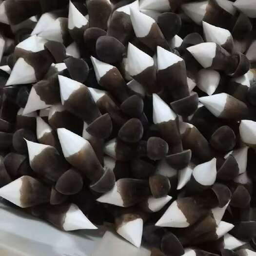 江华县黑皮鸡枞菌，新鲜，美味
