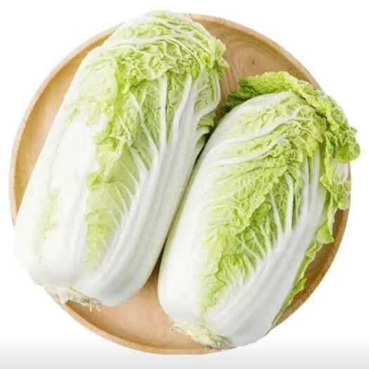 徐闻县白菜