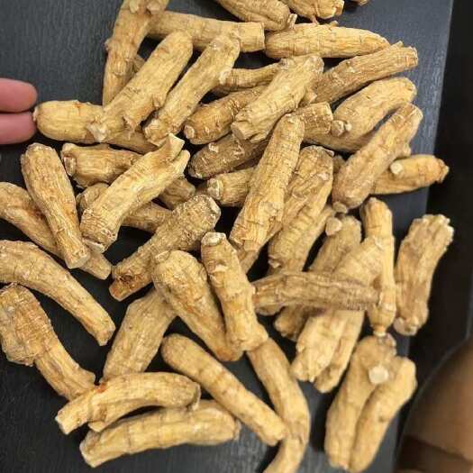 普宁市加拿大西洋参10克二面粒，纯软质规格齐全，普宁康美中药城直发