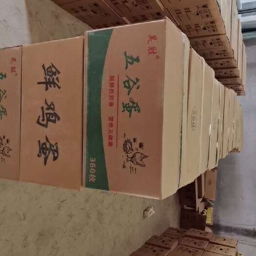 深州市粉壳蛋