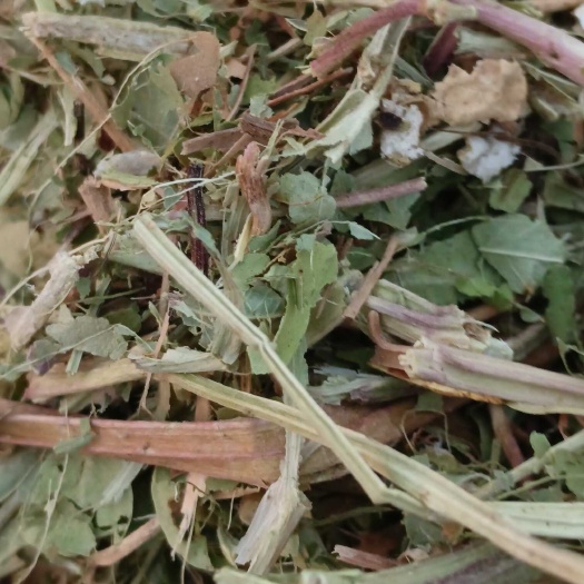 正阳县花生秧正在加工中有需要的请联系