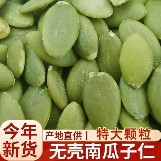 商丘新疆无壳南瓜子仁免剥净重颗粒批发原味无油无糖无盐坚果炒货批发