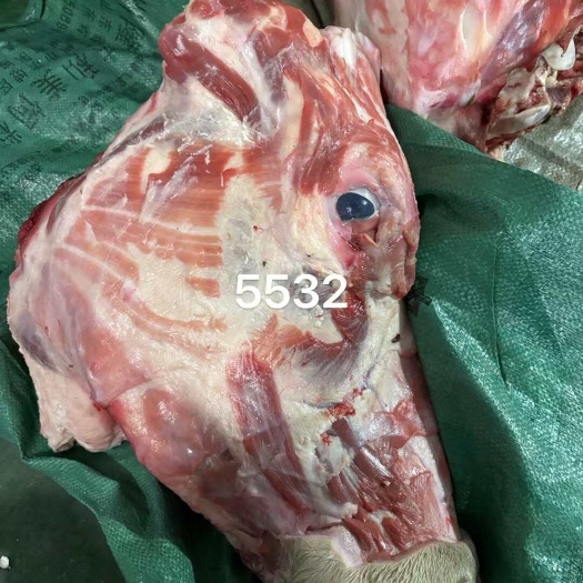 阳信县新鲜牛副产品 牛头 直供来自山东滨州 品质优选 农场现杀发货