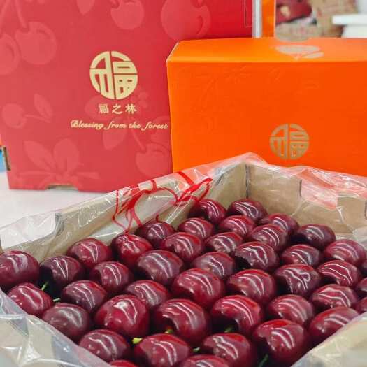 瓦房店市大连美早樱桃