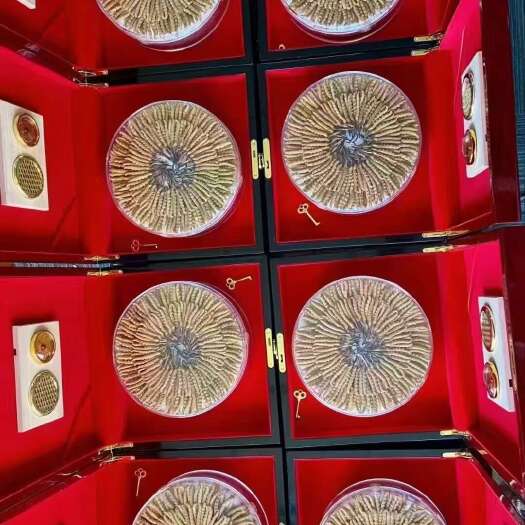 比如县【精选】那曲虫草 冬虫夏草 送人送礼 产地直发  品质保证