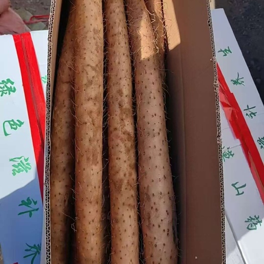 寿光市寿光白玉山药，沙地口感山药，干面干面，对接商超档口，电商平台