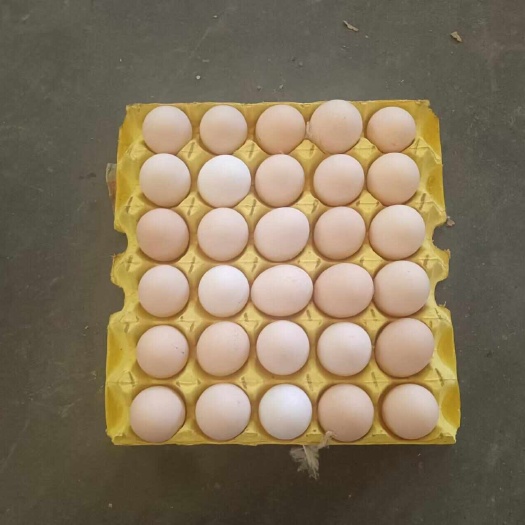 南昌新鲜粉壳鸡蛋直供当天发货禽畜蛋类精品