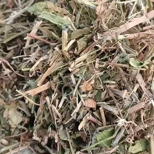 正阳县本人常年加工花生秧无杂质，无霉变质量有保证