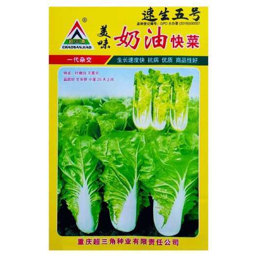 沭阳县美味奶油快菜蔬菜种子早熟高产耐热耐湿速生长蔬菜种子抗病菜种
