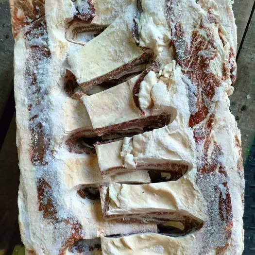 天津78厂牛后胸骨