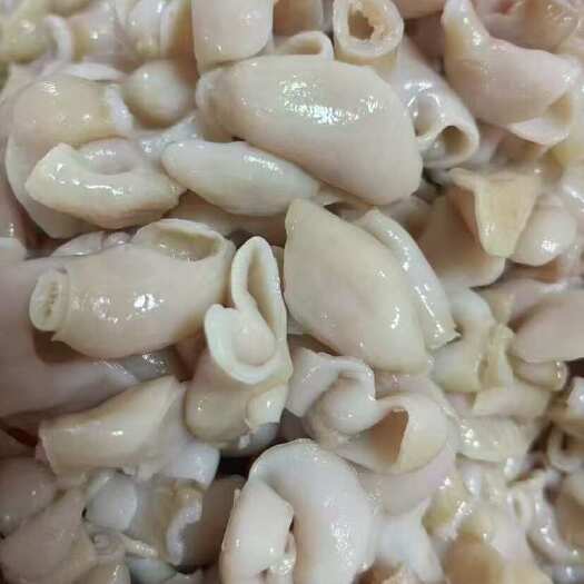 连云港熟冻开口鱼肚免处理鱼杂干锅食材冷冻鱼杂鱼白火锅食材