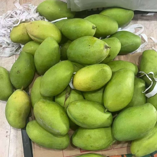 越南大青芒 金煌芒  一件代发