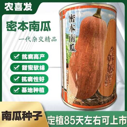 凯里市贵研密本南瓜种子高产特面味甜大果蜜本蜜本南瓜杂交蔬菜种籽孑