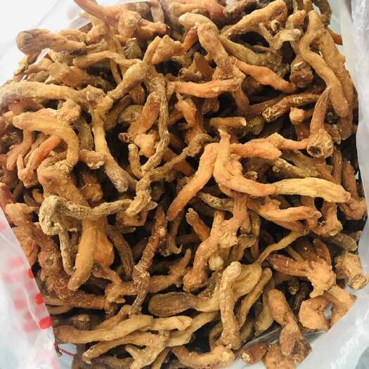商南县干黄精