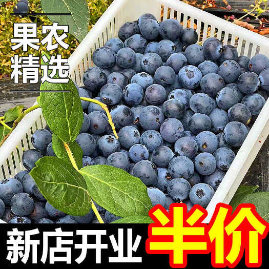 昆明【新店半价】云南 蓝莓 新鲜应季水果批发价一整箱孕妇宝宝辅食