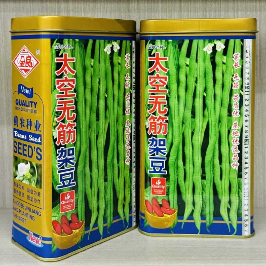 沭阳县太空无筋豆豆角种子高产抗热抗病豆角种子无纤维大田基地豆角种子