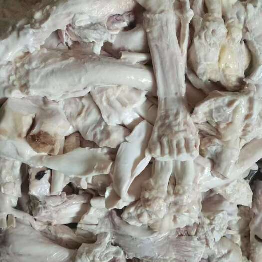 东营牛蹄筋 蹄筋 主筋  精修纯干去脚趾 源头厂家批发