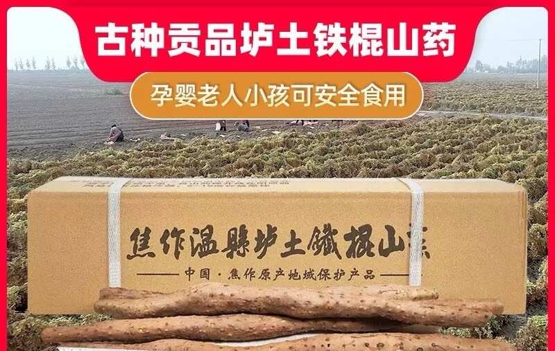 温县温县垆土地铁棍山药 粉糯香原产地直发温县种植户