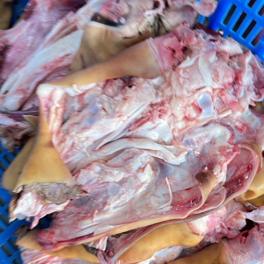 漯河新鲜牛蹄供应 牛副产品源头发货 国产火烧