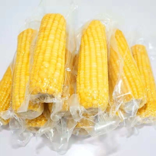 长春应季黄糯甜玉米10根（含箱）高温锁鲜熟玉米，非库存冷冻产品