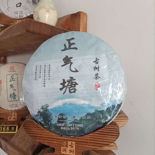 双江县勐库东半山——正气塘古树茶