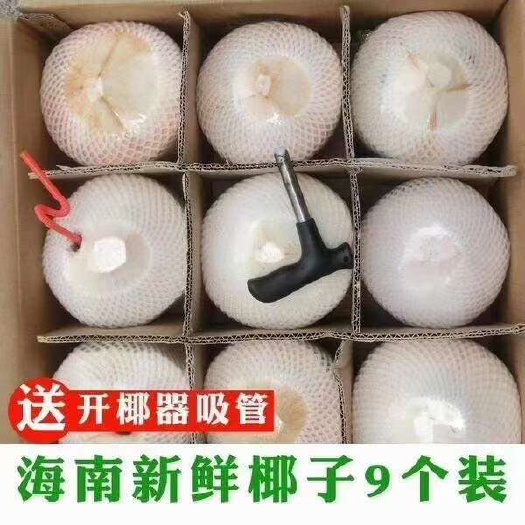 文昌市海南去皮青椰子1箱9个装 包邮
