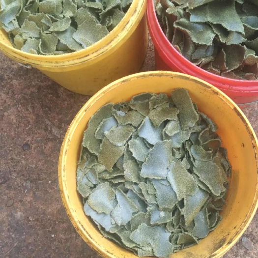 富源县油枯  青枯