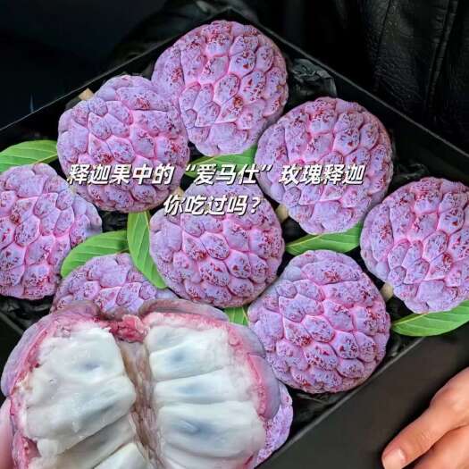 海口海南玫瑰释迦果 新鲜现摘现发 顺丰/京东包邮