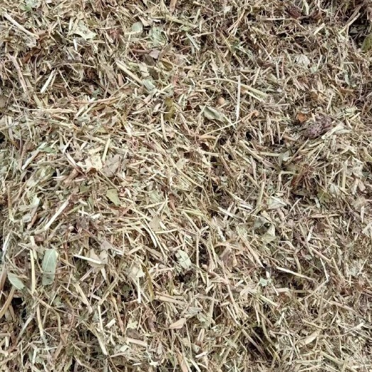 河南扶沟花生秧饲料 牛羊马兔通用 助力健康养殖