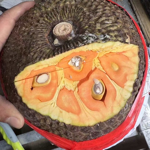 深圳印尼红肉菠萝蜜
