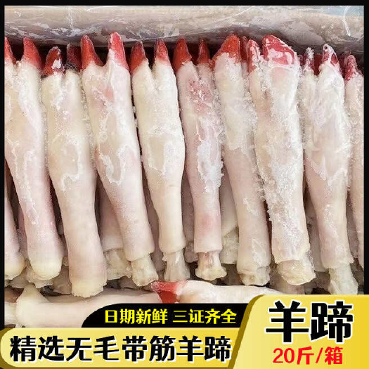 苏州育肥新鲜冷冻羊蹄20斤40个左右清真羊蹄