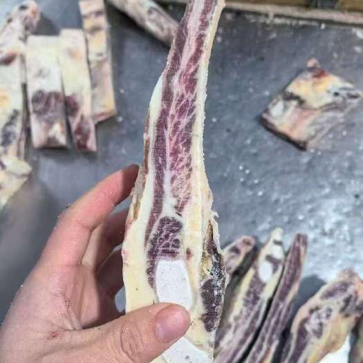 临沂国产牛肋排，价格不高