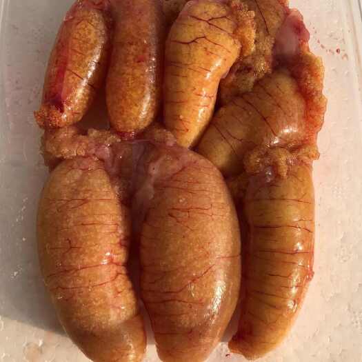 新鲜鲈鱼籽活鱼现杀鲈鱼籽黑鱼籽鱼蛋鱼卵火锅鱼杂速冻后冰鲜发货