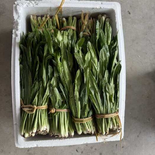 产地直供 货源稳定 长期有货
