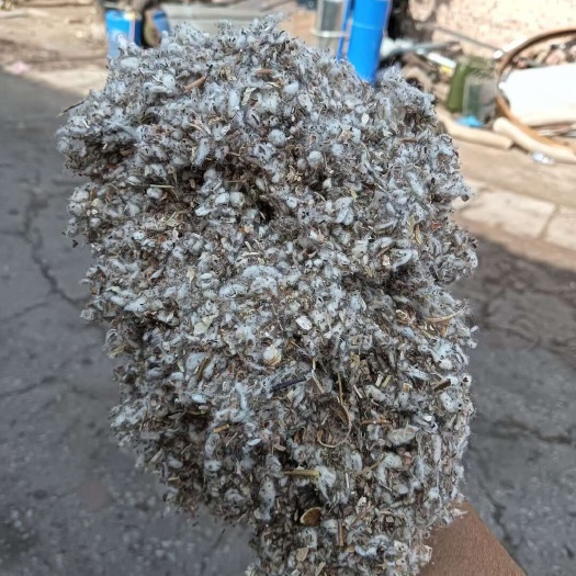 南宫市棉渣优质棉渣机头棉渣直销产品