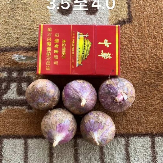 宾川县独头蒜 云南一级货 新鲜货需要联系。