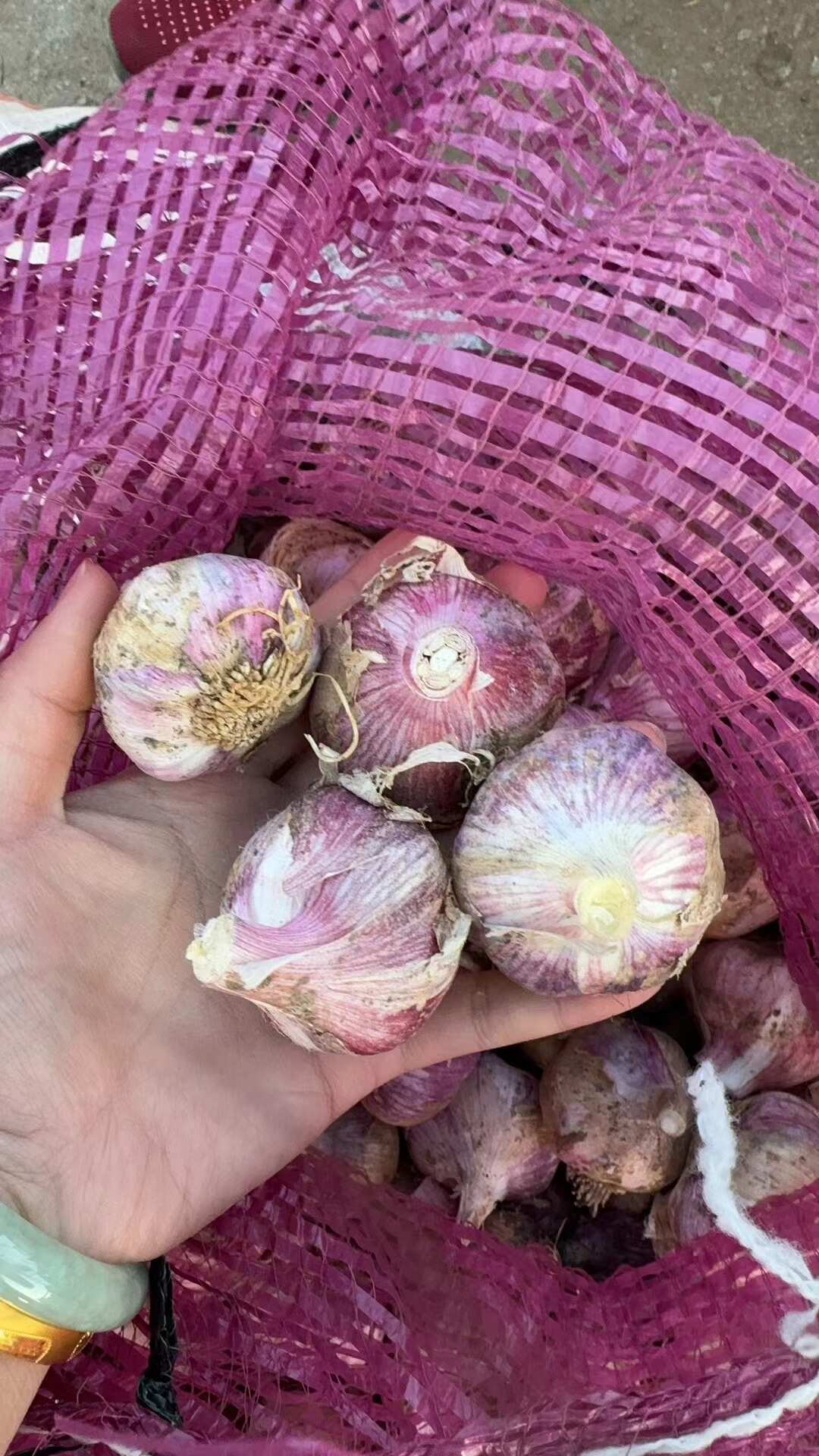 紫皮大蒜独蒜瓣蒜最新上市