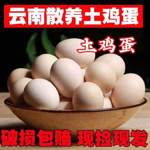 云南 新鲜土鸡蛋黄心50 60g中码散养农家快递直发