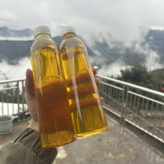 田林县2024年广西百色高山茶油茶籽油物理压榨农家特产霜降茶油