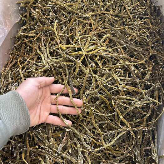 昆明云南珍虫石斛条铁皮石斛干条石斛枫斗现货批发1斤也是批发价