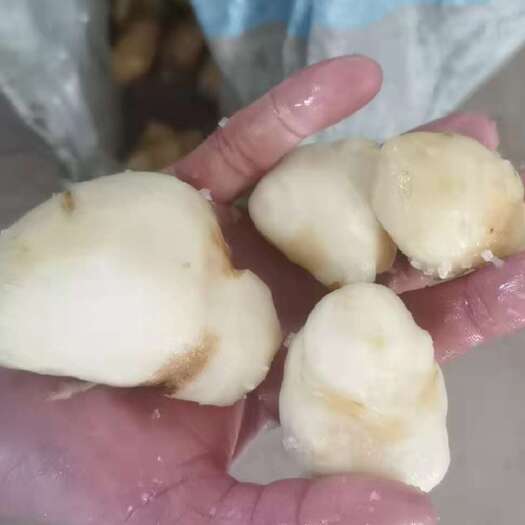 石柱半成品洋姜菊芋鬼子姜水洗洋姜