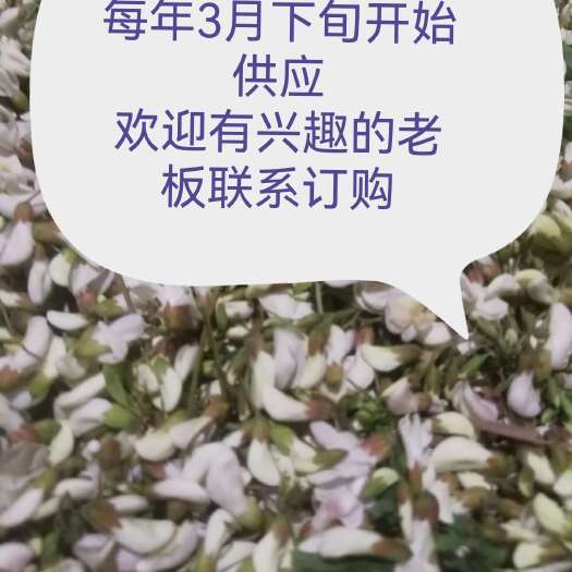 巴中2025年新鲜槐花