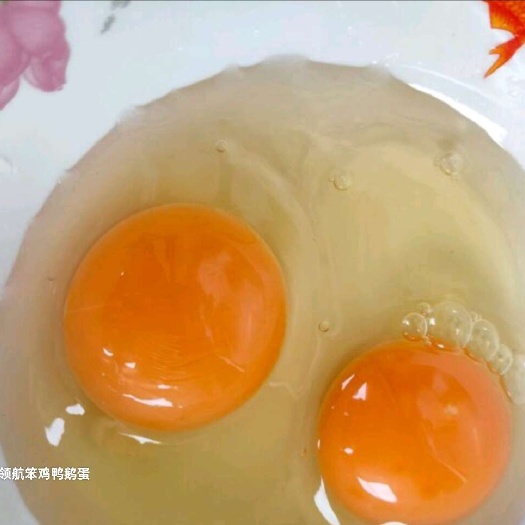拜泉县齐齐哈尔拜泉县新鲜土鸡蛋直销来自黑龙江的优质农产品