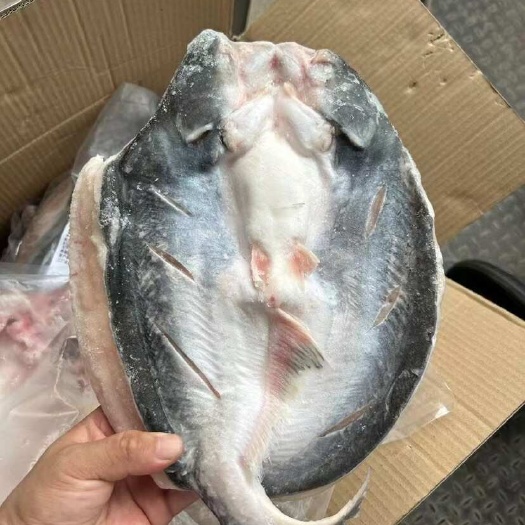 烤鱼，反骨腌制开背巴沙鱼。吊炉烤鱼。火锅鱼