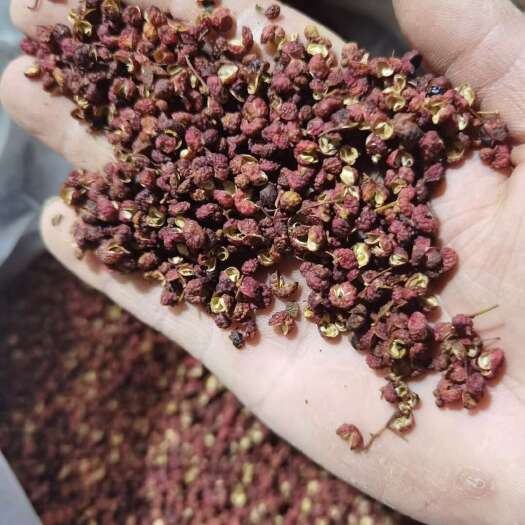 深圳韩城花椒