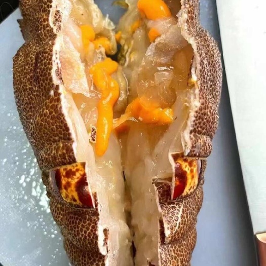 上海犀牛虾