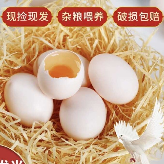 新鲜鸽子蛋30枚农家杂粮孕妈宝宝辅食礼盒生鲜包邮土鸽蛋