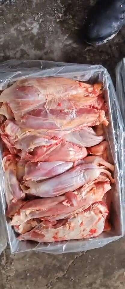 牛肉四分体 牛腱子，腩排连体，牛前，牛后。纯干无水，精修去油
