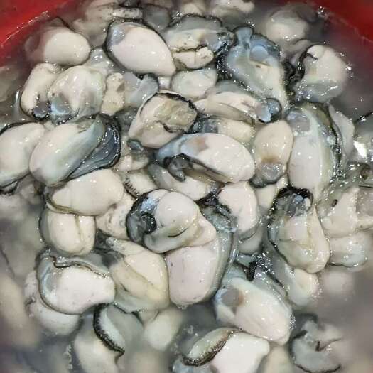 饶平县生蚝肉批发 小大