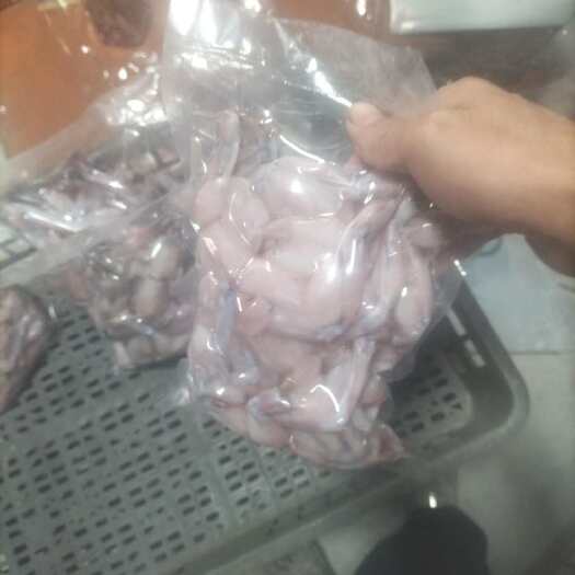 冷冻牛蛙